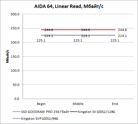     AIDA64 GOODRAM PRO 256 