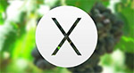 OS X 10.10   