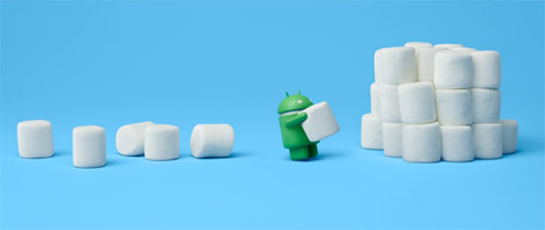 Android  Chrome OS 