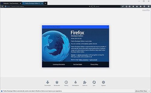 64- Firefox   Windows