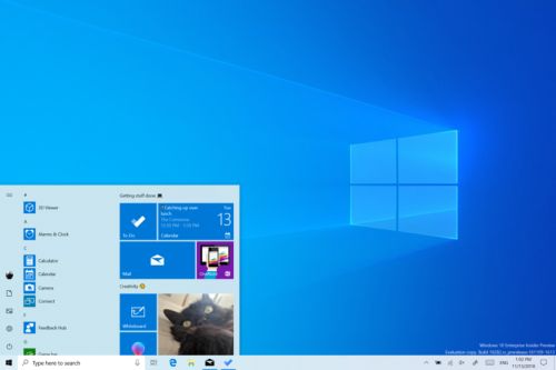 Windows 10 1H19    