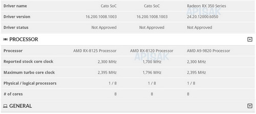  AMD Cato   Futuremark SystemInfo